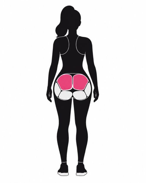 Upper glutes highlighted